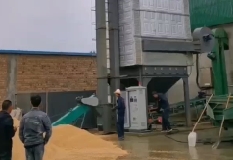 烘干塔案例實拍